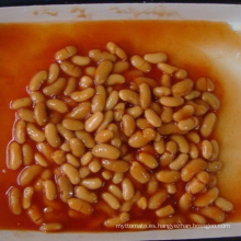 Frijoles blancos enlatados en salsa de tomate